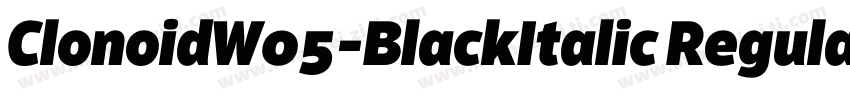 ClonoidW05-BlackItalic Regular字体转换